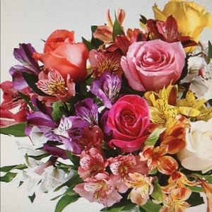 Meet your Posher, Surinda